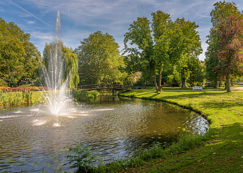 A local park with a fountain in it's pond in the summertime.