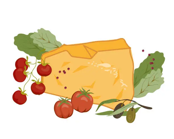 Vector illustration of Italian parmesan cheese, grana padano, parmigiano reggiano with tomatoes vector.