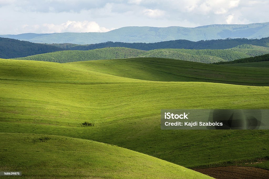 Nube de resorte - Foto de stock de Agricultura libre de derechos