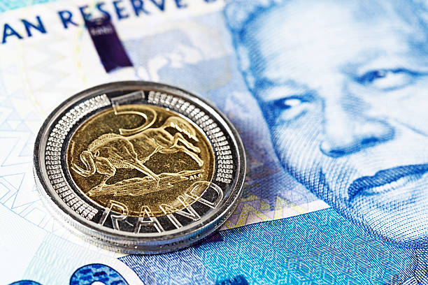 5 ランドコイン上に新しい・マンデラ南アフリカ紙幣 - nelson mandela wildebeest blue new ストックフォトと画像