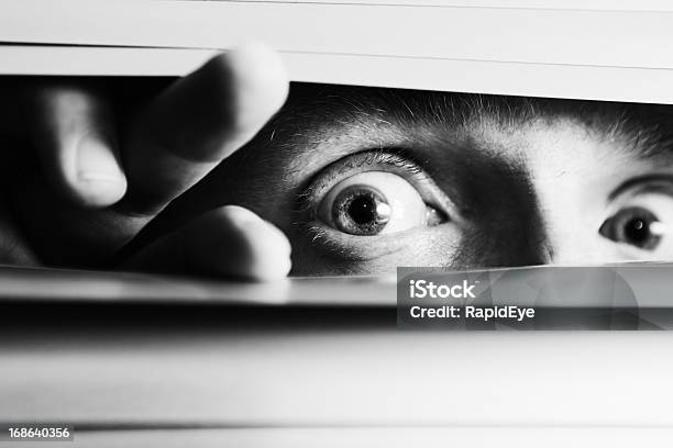 Wideeyed Terrified Man Peeping Though Venetian Blinds Stock Photo - Download Image Now