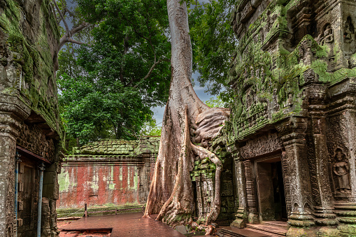 Angkor wat, Siem reap,Cambodia, was inscribed on the UNESCO World Heritage List in 1992.