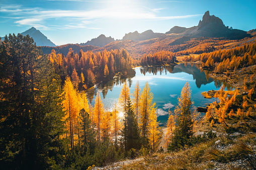 Stunning nature landscape with alpine lake in the Dolomites at autumn, lake Federa, Italy, Europe