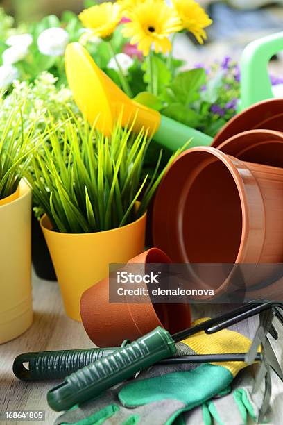Gardening Stock Photo - Download Image Now - Gardening, Planting, Springtime