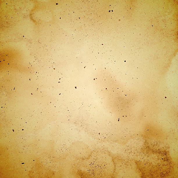 istock Grunge brown paper textured background 168641957