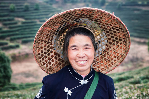 Portrait of a traditional tea picker, Yang Shuo, China Portrait of a traditional tea picker in tea terraces in Yang Shuo, China. yangshuo stock pictures, royalty-free photos & images