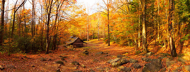 Cabin in the Forest Cabin in the Great Smoky Mountains National Park during Fall. gatlinburg great smoky mountains national park north america tennessee stock pictures, royalty-free photos & images