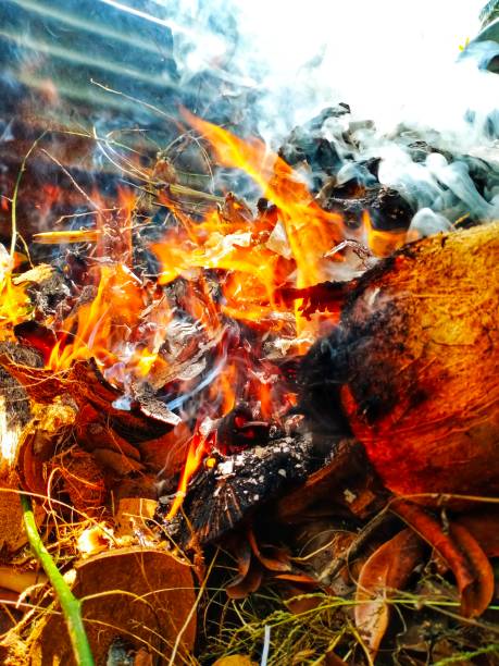 Fire burning a pile of garbage