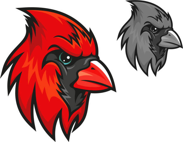 Red cardinal bird in cartoon style Red cardinal bird in cartoon style for mascot symbol design cardinal mascot stock illustrations