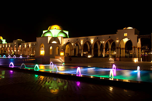 istock Dancing Multi Colored fountain at dark night 168649886