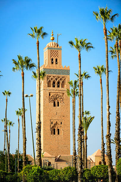 istock Koutoubia minaret with palm trees 168654100