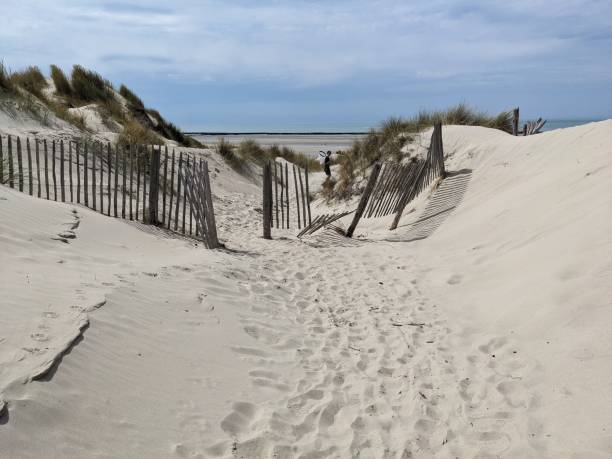 istock Baie de somme beach and dunes 1686547783