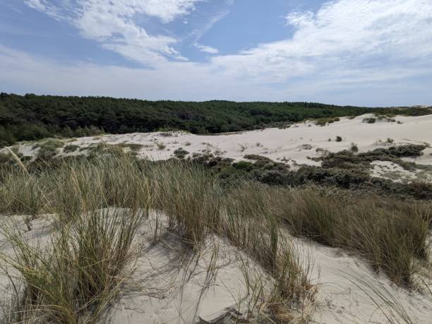 istock Baie de somme beach and dunes 1686548326