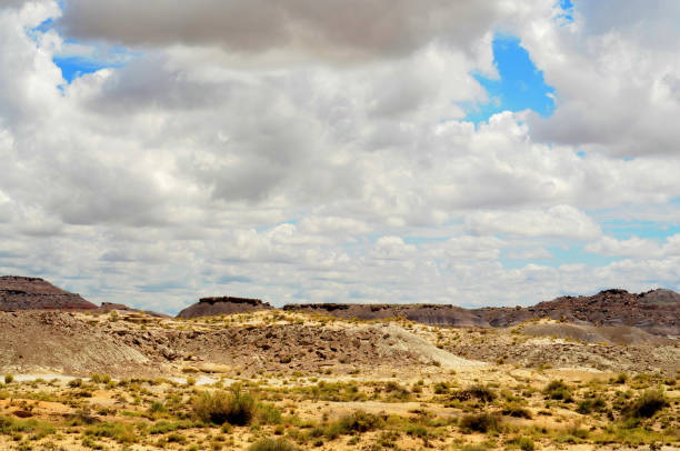 istock Rugged and Desolate Landscape Petrified Forest Arizona 1686562802