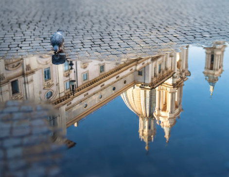 Puddle reflection with church on cobblestone with pigeon, Piazza Navona - Roma Italy