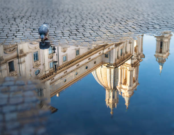 пьяцца навона с лужа и pigeon, рим италия - piazza navona стоковые фото и изображения