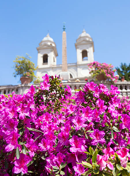 istock The Spanish Steps in Rome with Azalea flowers, Italy 168658478