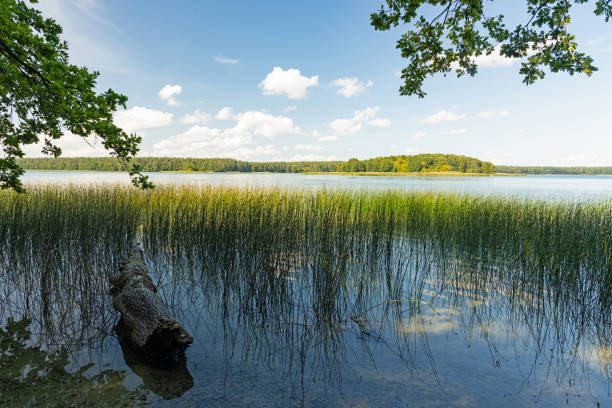 vista sobre el lago mokre cerca de krutyń en polonia - masuren fotografías e imágenes de stock