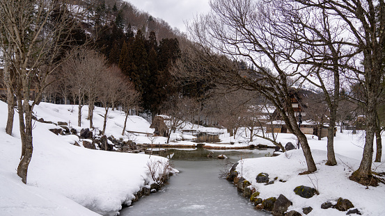 In the depths of winter, the once-flowing stream in Shirakawa village stands still, encased in a layer of ice. The frozen waterway winds through the village, mirroring the crystalline world around it. With snow-blanketed cottages as its backdrop, the stream becomes a shimmering centerpiece, embodying the serene stillness of Shirakawa's winter season in Japan.