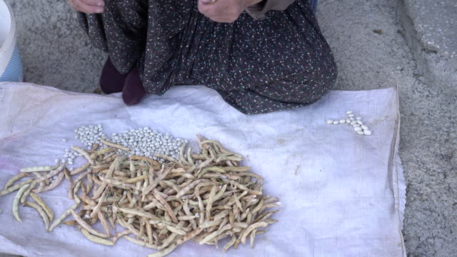 Close up Senior Anatolian woman cleaning white kidney beans on a garden in a village