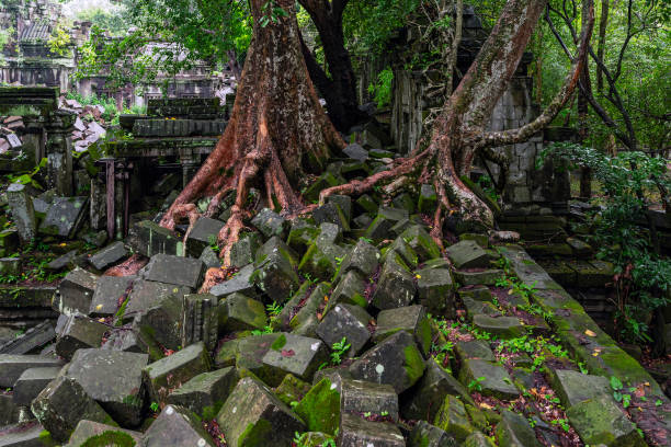 Windows in an ancient Hindu temple in the Angkor Wat temple complex in Siem Reip, Cambodia