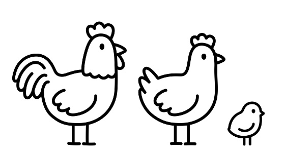 Chicken family doodle drawing set. Rooster, hen and baby chick. Simple cartoon line icon. Cute hand drawn vector illustration.