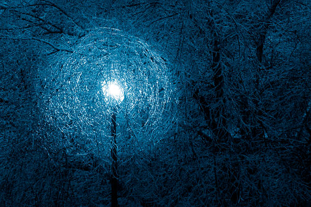 istock Spider Web Of Icy Tree Branches Surround This Outdoor Lamp 168663051