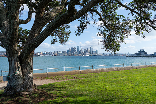 view of auckland city from devenport