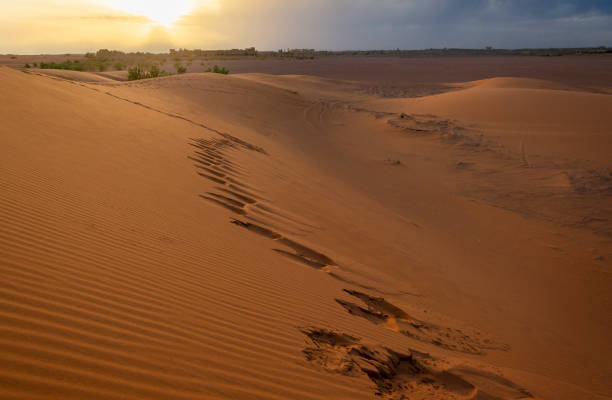 istock Erg Chebbi dunes in Sahara desert before sunset. Morocco, Africa. 1686637489