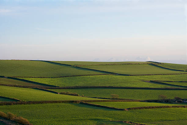 Landscape of Green Fields stock photo