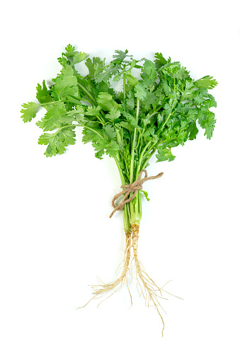Chopped Parsley in a bowl