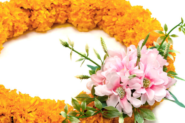 istock Yellow Marigold flowers wreath isolated on white background 1686690857