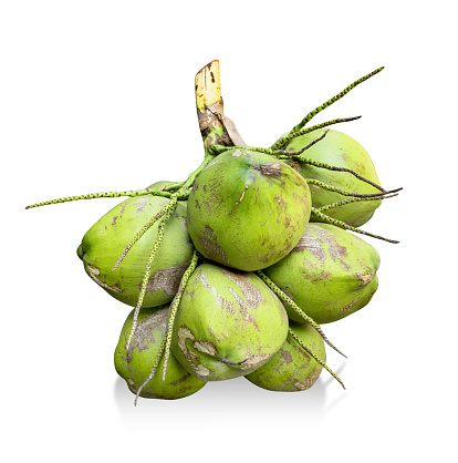 coconut tropical fruit isolated on white background ,include clipping path