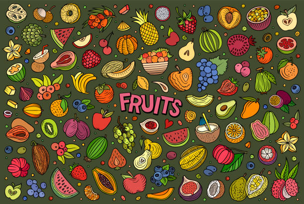 ilustraciones, imágenes clip art, dibujos animados e iconos de stock de cartoon fresh fruits objetos y símbolos doodle set - plum grape fruit clip art