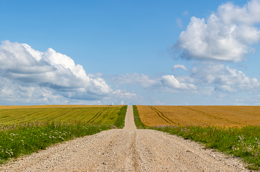 Rural landscape in southern Estonia, near Tartu