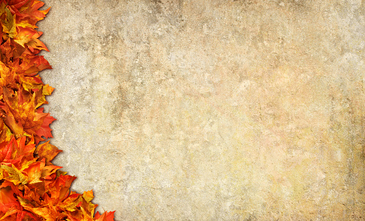 A Thanksgiving frame created by a group of autumn leaves on a textured background.