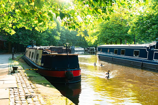 St Ives, Cambridgeshire, England - May 28, 2020: Canal Boat on the river Ouse at St Ives Cambridgeshire.