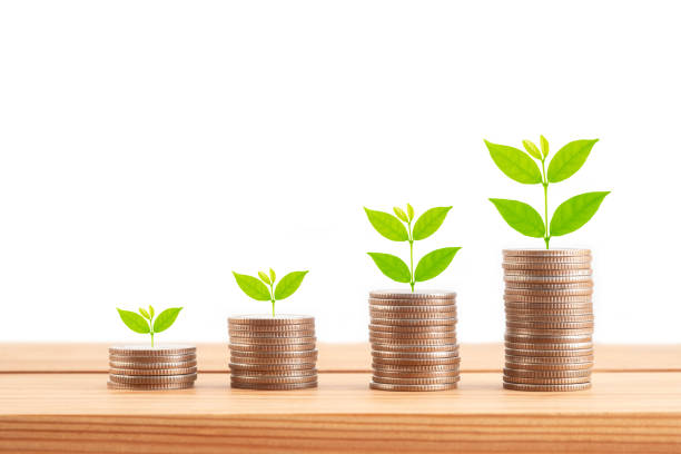 istock Plant and coins stack on white background.  Business investment growth and saving concept. 1686721027