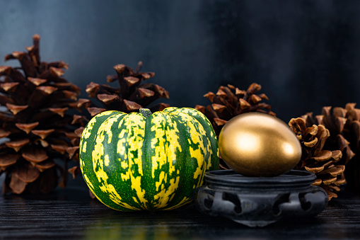 Conceptual finance image reflects autumn investments continuing successfully through metaphors of gold egg and autumn squash and pine cones in horizontal image on black background