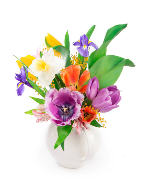 bright spring bouquet in a white vase. spring flowers, daffodils, tulips, hyacinths, irises and mimosa isolated on a white background - bouquet tulip greeting card gerbera daisy imagens e fotografias de stock