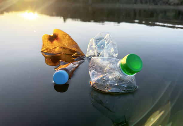 istock Marine plastic pollution. Plastic waste in lake water. 1686740363