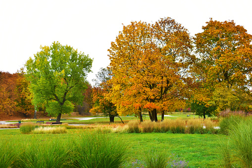 Wonderful park in autumn colors. Gothenburg city, Sweden.