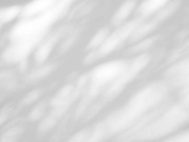 istock Abstract shadow of leaves on a white wall background 1686745518