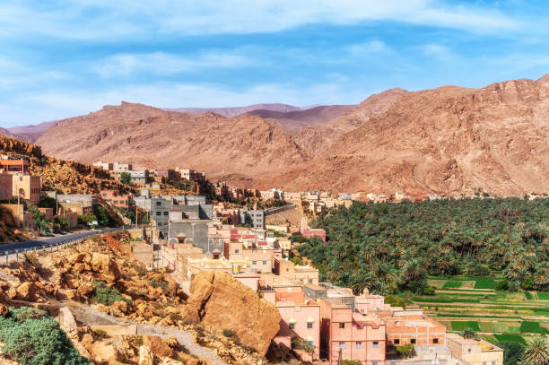 istock Oasis in the Dade valley, Morocco 1686763830