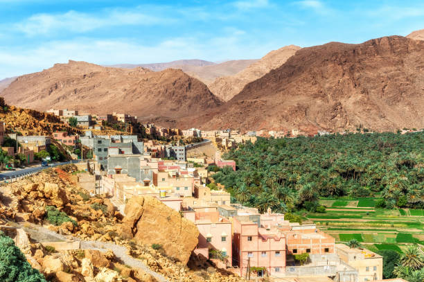 istock Oasis in the Dade valley, Morocco 1686763839