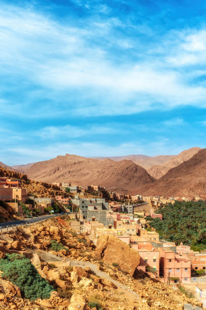 istock Oasis in the Dade valley, Morocco 1686764393