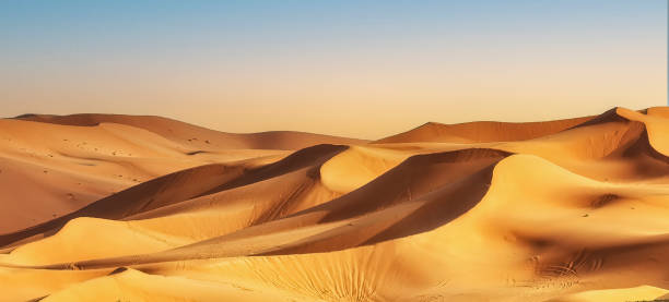 istock Sahara Desert landscape, Morocco 1686764407