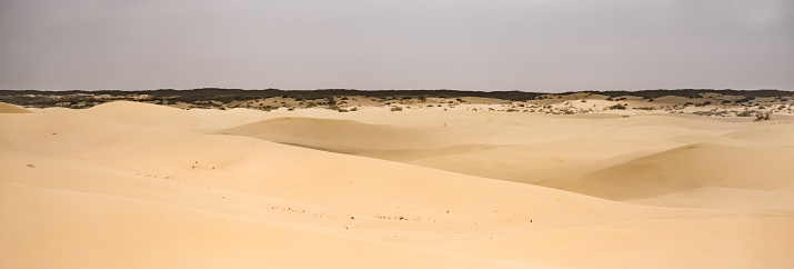 Sand dunes in the Senek desert in the Kazakh desert, desert sand texture for background