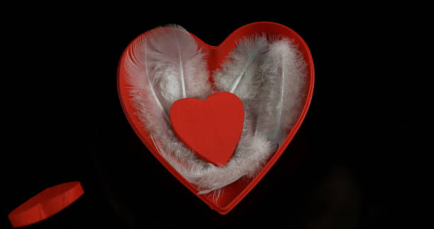 istock Red Heart and Feather for Saint Valentine's Day, 1686776216