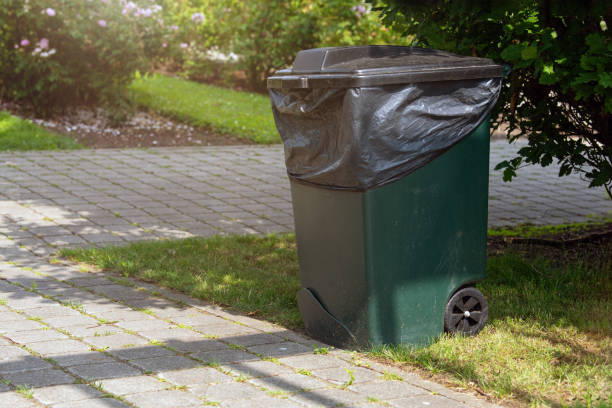istock Close-up of a plastic trash can in a park. Garbage can on wheels, collecting and sorting waste in a park area. Container for collecting fallen leaves. 1686777318